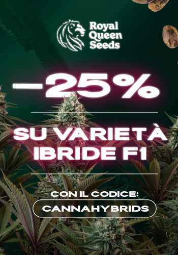 Royal Queen Seeds